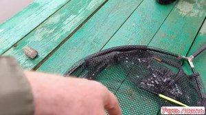 За Карпом на платный водоём.