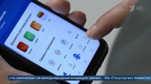 «Тревожная кнопка» появилась на «Госуслугах» для уведомления о мошенничестве