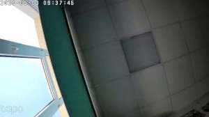 Тестовая трансляция 09.06.26
