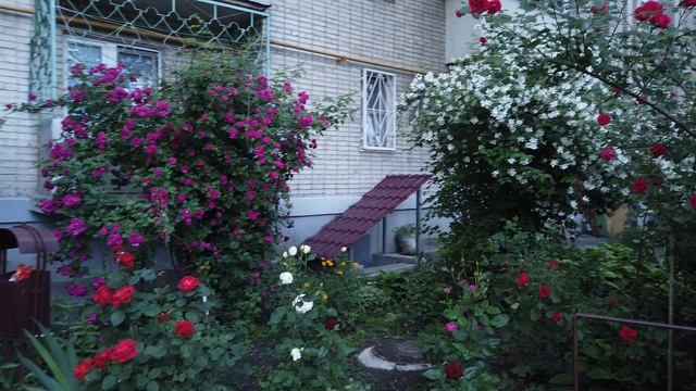Новочеркасск34