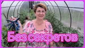 Помидоры в теплице. Сколько? Как? Почему? По просьбе зрителей.