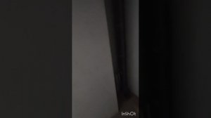 Левада жк, обзор 09.06.26 и фишки подарки 🎁