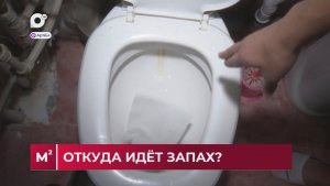 Квадратные метры / Чем пахнет наша жизнь? / 09.06.26