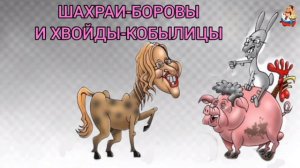 ШАХРАИ-БОРОВЫ И ХВОЙДЫ-КОБЫЛИЦЫ