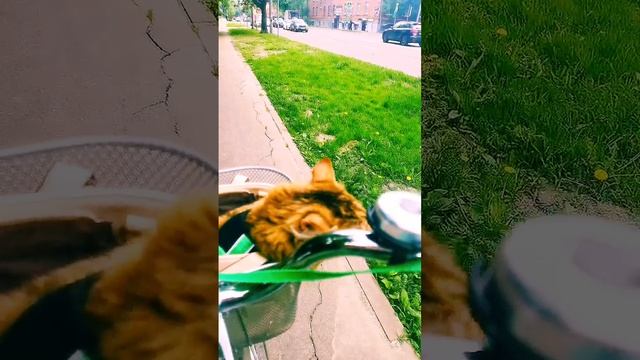 Подкаст о наболевшем смотреть онлайн