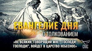 «Не всякий, говорящий Мне: «Господи! Господи!», войдет в Царство Небесное» / Евангелие дня