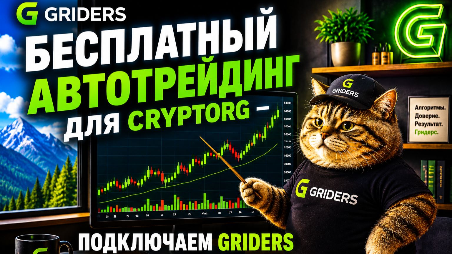 Бесплатный автотрейдинг для Cryptorg — подключаем Griders за 5 минут