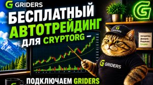 Бесплатный автотрейдинг для Cryptorg — подключаем Griders за 5 минут