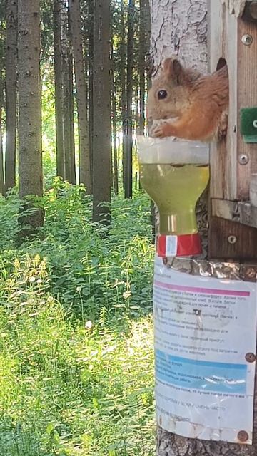 В парке у больницы . смотреть онлайн