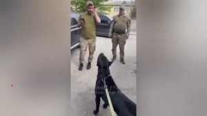 Собака не дала ТЦК мобилизовать хозяина