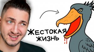 Ты - Китоглав (И ЭТО ПОЛНЫЙ ОТСТОЙ) - реакция Градуса