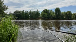 Удачная рыбалка в Разливе.