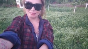 Алиса Неземная. ВЕЧЕР В САДУ🏡ОБО ВСЁМ ПО НЕМНОЖКУ☺️