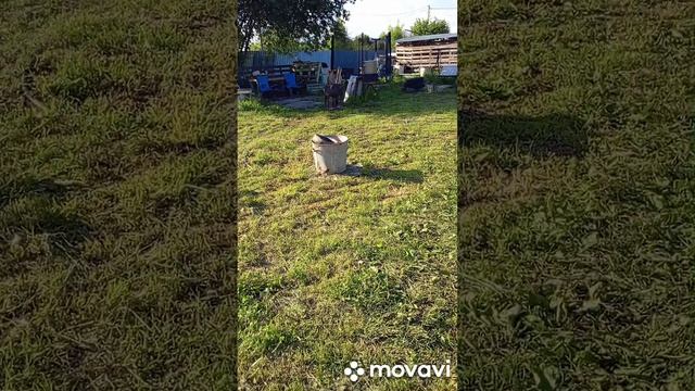 выматывающая жара🥵🥵🥵делать нечего не могу плохо