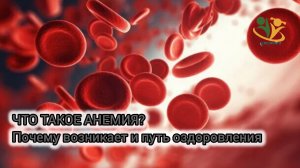 💥ЧТО ТАКОЕ АНЕМИЯ? Почему возникает и путь оздоровления. О.А.Бутакова