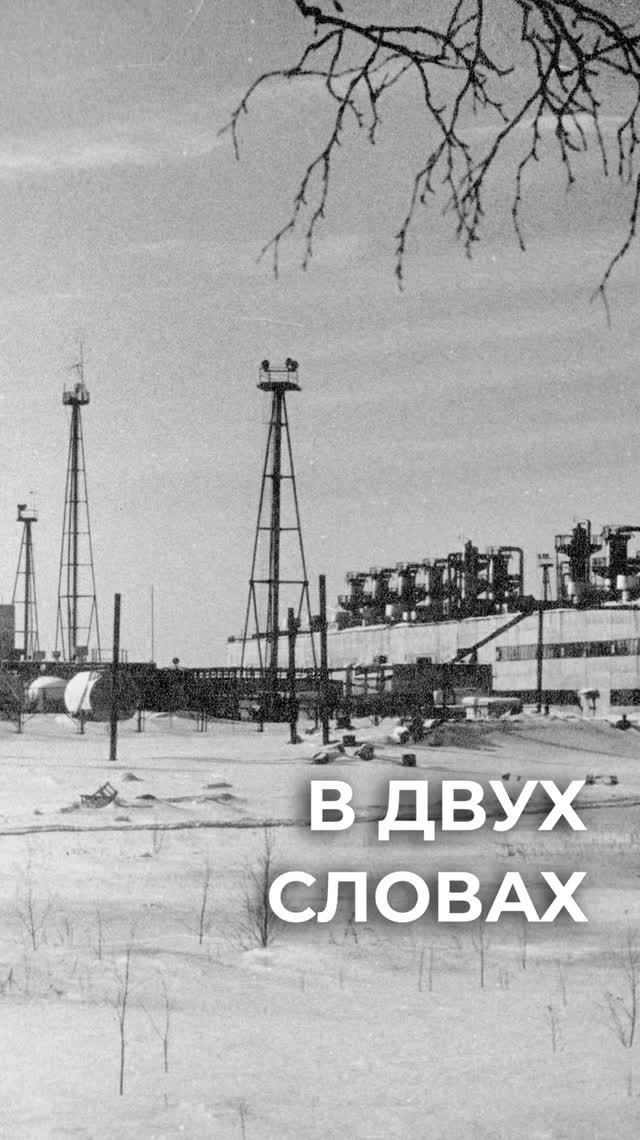 В двух словах. Французский промысел Медвежьего