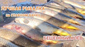 Лучшая рыбалка только на Главном Банке!