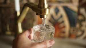 Живая вода в плохом смысле: кто плавает в трубах и что течет из вашего крана