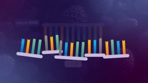 36. How Genes Express Themselves: Crash Course Biology
