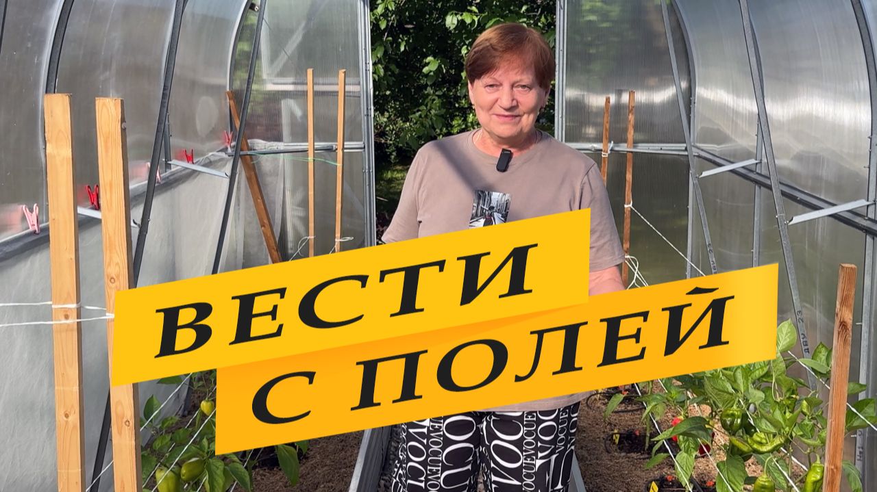 Марина отвечает! смотреть онлайн