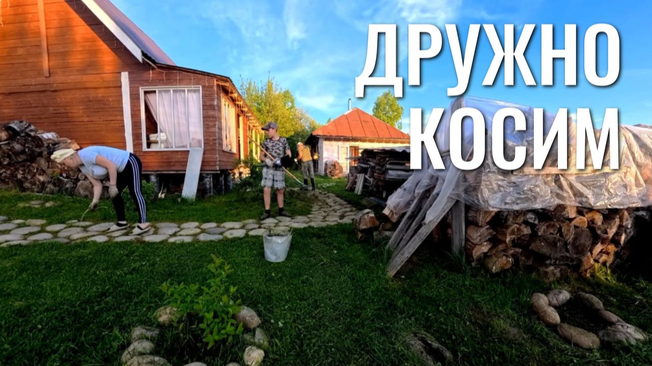 ДРУЖНО КОСИМ 🌿 УЧАСТОК СТАНОВИТСЯ КРАСИВЕЕ 🌸 смотреть онлайн