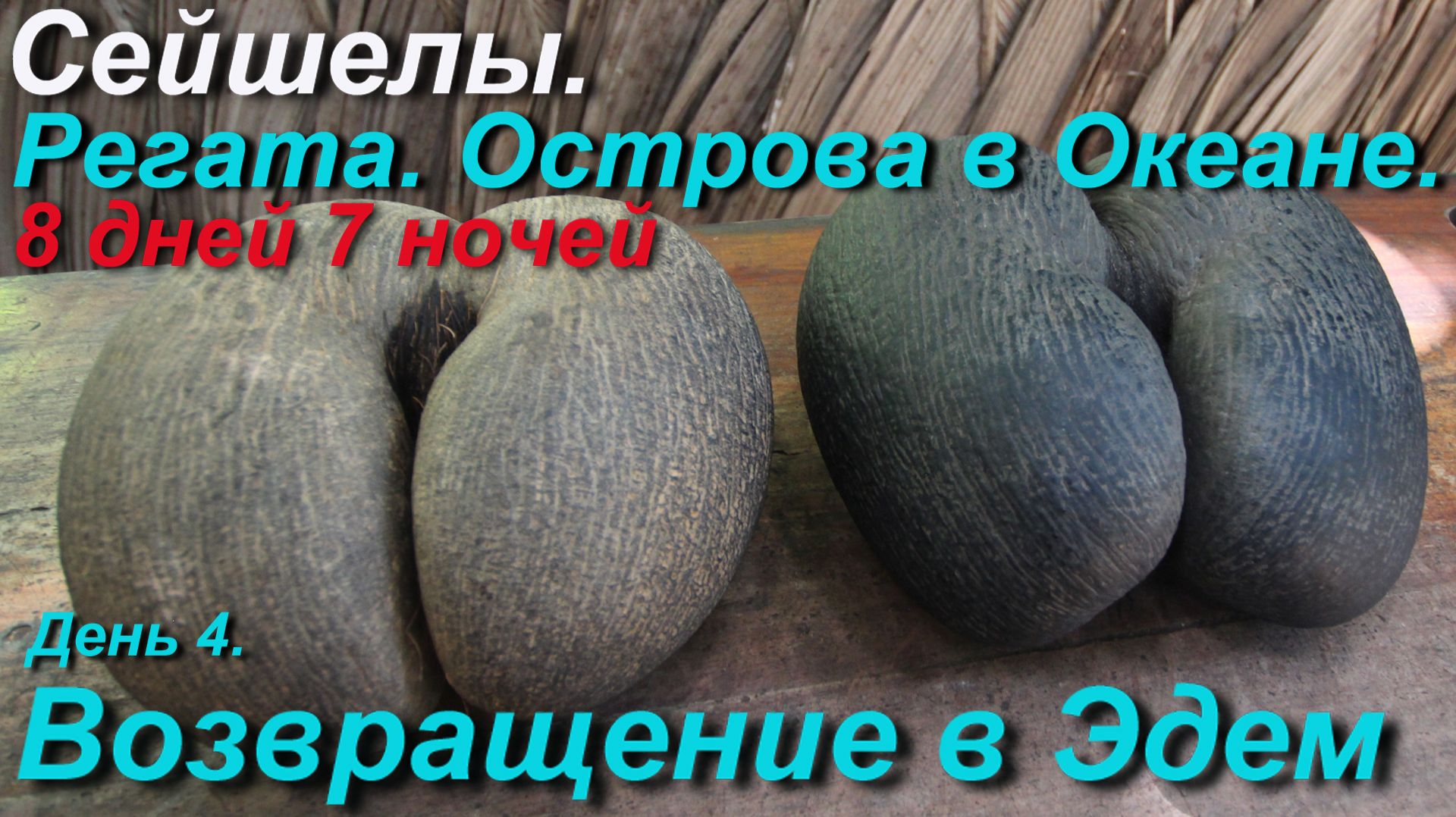 Сейшельская регата. Возвращение в Эдем. (День 4)