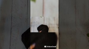 Сп_Бинго_2026. Отчёт весны. Участник 81