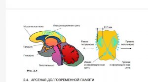 А. Глаз, А. Апанаскевич «Сфера Разума» (1.1 - 1.3). Аудиокнига