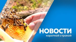 Короткие  новости.06.2026