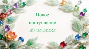 Новое поступление 10-06-2026
