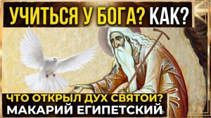 Не от мира сего: Как Дух Святой просвещает сердце христианина? Макарий Египетский