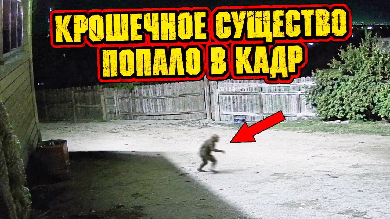 Камера наблюдения в Калифорнии сняла ночью крошечное волосатое двуногое существо смотреть онлайн