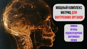 Мощный комплекс матриц для внутренних органов: Лимфа, Поджелудочная, Печень, Щитовидка, ЦНС