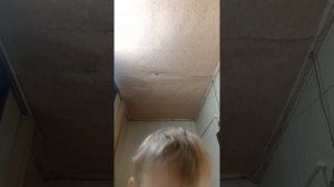 Когда вернётся продолжение вируса?