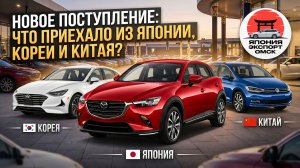 Свежий привоз авто: что можно выгодно купить прямо сейчас?