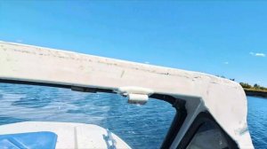 Гигантский карась и прозрачная вода: наш отдых на базе».