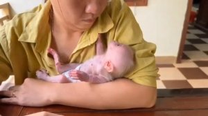 Этот детёныш макаки сможет заставить плясать под свою дудку ...    1000048780.mp4