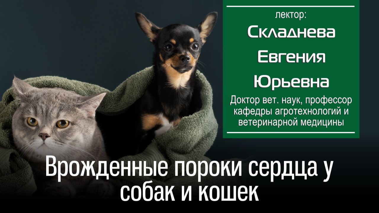 Складнева Е.Ю. Врожденные пороки сердца у собак и кошек