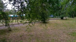Цирк прибыл в Ейск!
