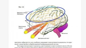 А. Глаз, А. Апанаскевич «Сфера Разума» (4.4 - 4.6). Аудиокнига