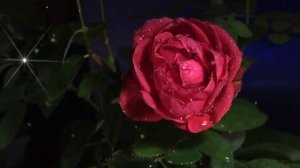 💐Поздравляю всех моих друзей💞🤝С Днём Друзей🤝💐😄