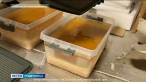 В Михайловске задержали двух химиков за организацию нарколаборатории