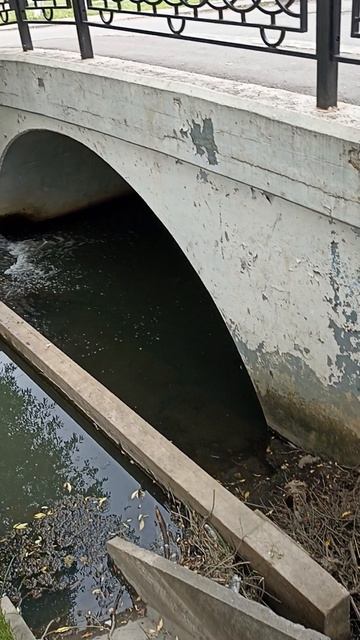 Река Березовец в Дмитрове. Плотина не работает, вода уходит. Администрация что делает?