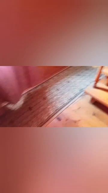 трейлер к ужасному сну. смотреть онлайн