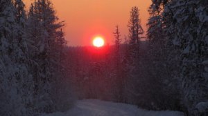 Дорога домой. Песня дальнобойщиков