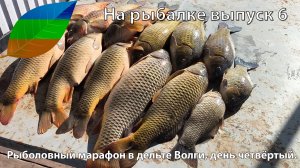На рыбалке выпуск 6 Рыболовный марафон в дельте Волги, день четвёртый