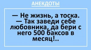 Не жизнь, а тоска. Так заведи себе любовника... | Анекдоты смешные | Юмор