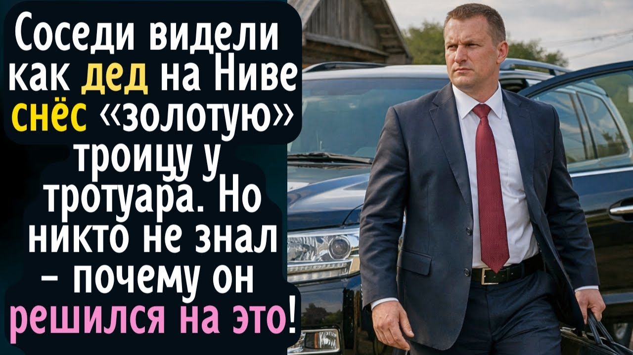 Люди видели как дед на Ниве снёс «золотую» троицу у тротуара. Но никто не знал, почему он решился на смотреть онлайн