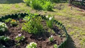 Дачная композиция .Водораздел .Красноярск