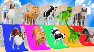 Корова, слон, Лев, Горилла, Тигр, Тираннозавр, Рекс, 3d-животное игра-слайд 3d-раскраска с животными